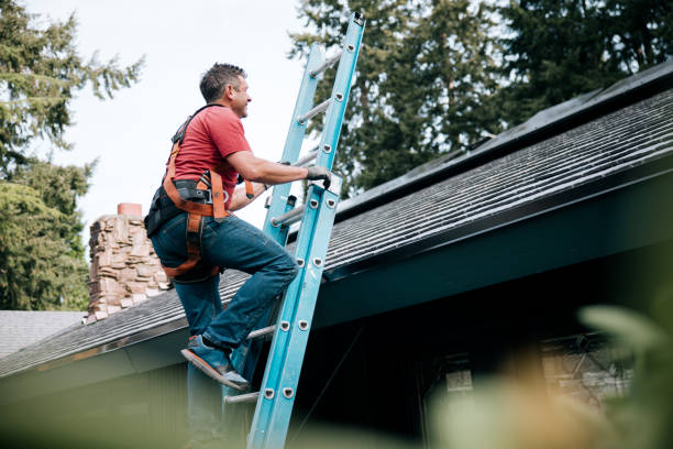 Best Gutter Installation and Repair  in Blawnox, PA