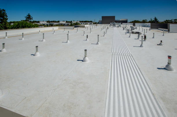 Best Roof Insulation Installation  in Blawnox, PA